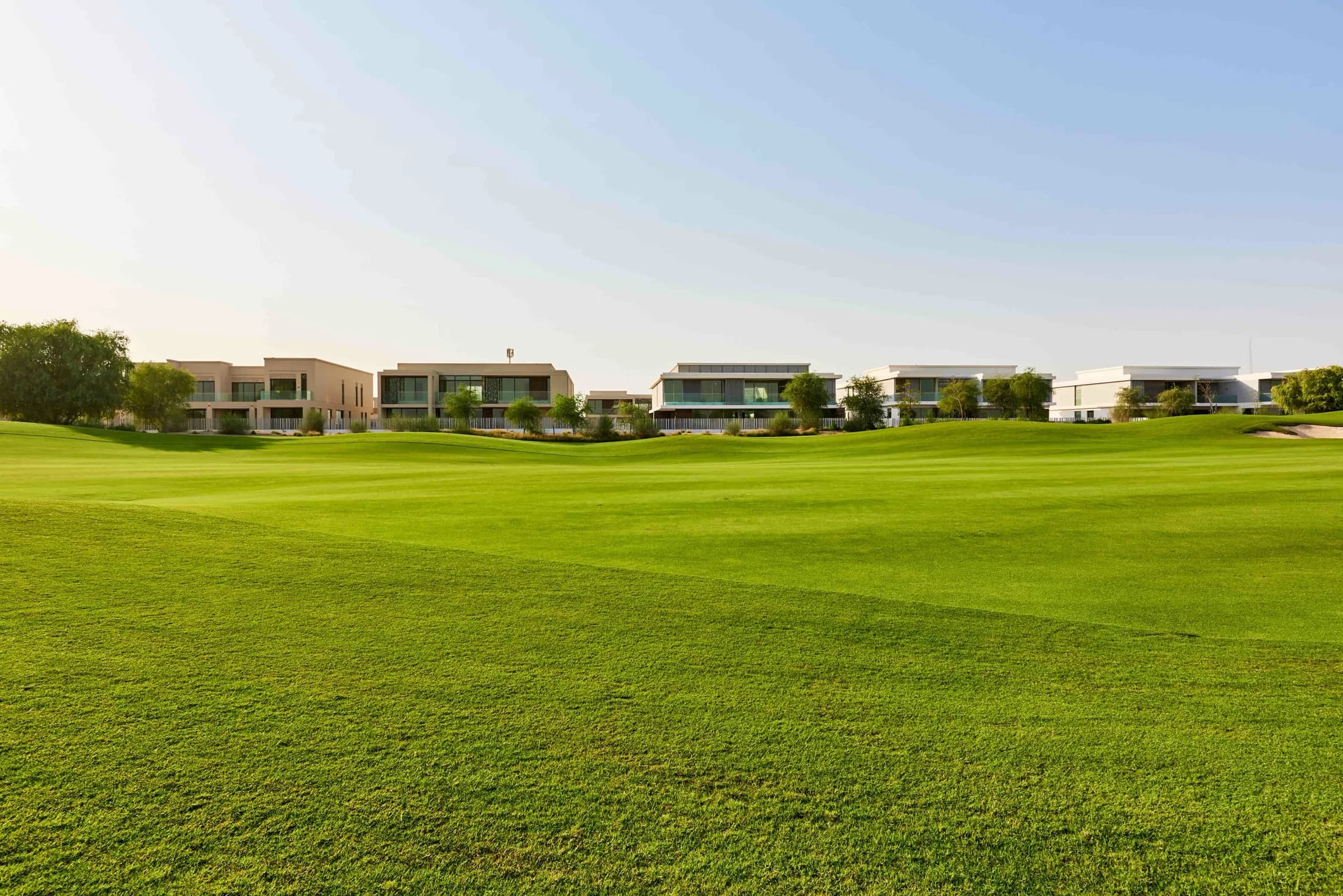 Emerald Hills